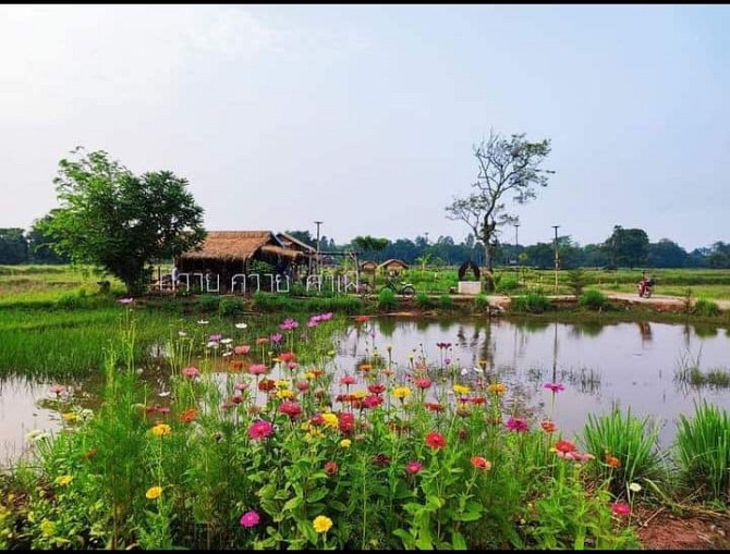 Жилье на ферме Mae Bua Ly Buriram - photo 1