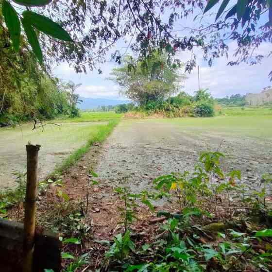 Rumah Bendang Baling Betong