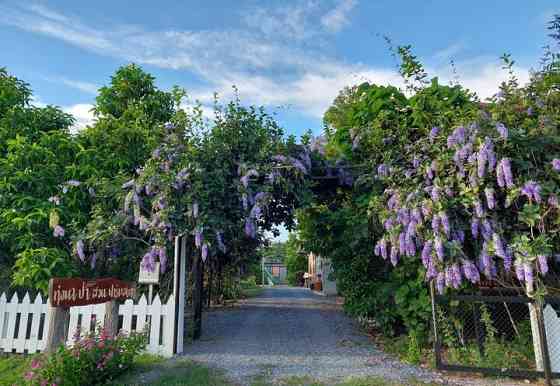 Baan Flower@Tung-Na-Pa-Suan Farmstay Bang Racham