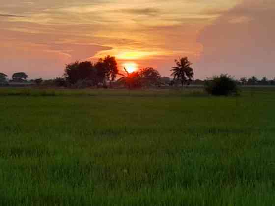 Baan PaiNa@Tung-Na-Pa-Suan Farmstay Bang Racham