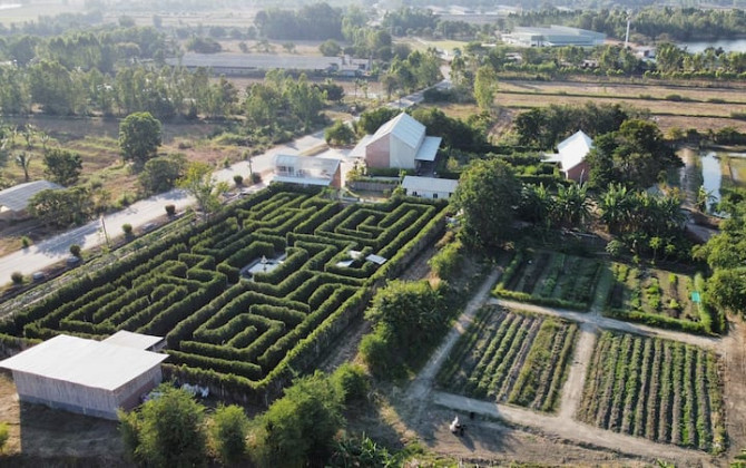 Проживание в амбаре на куриной ферме Hedge Maze. Phanom Sarakham - изображение 1