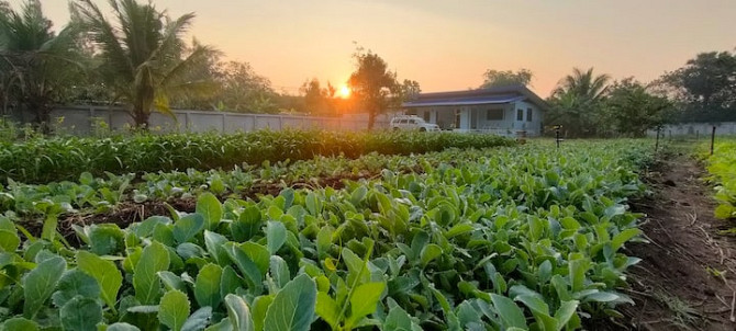 Голубой дом - Бан Пхра Пхут Nakhon Ratchasima - photo 2