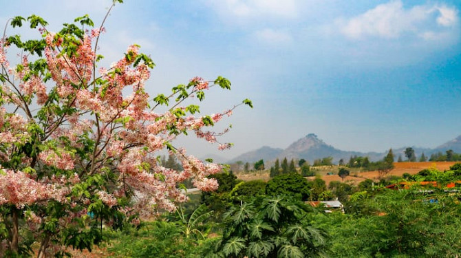 Вилла Noina Farmstay в тайском стиле Pak Chong - изображение 5