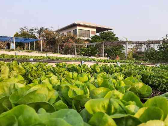 Niramitsook Farm Stay Khao Yai บ้านไร่นิรามิสสุข Pak Chong