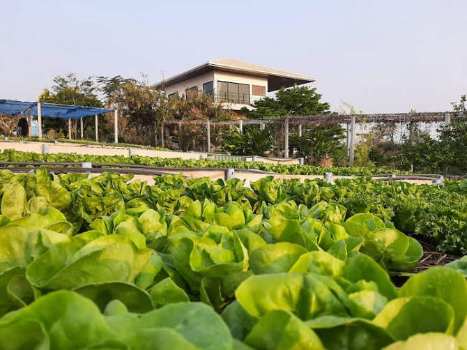 Niramitsook Farm Stay Khao Yai บ้านไร่นิรามิสสุข Pak Chong - photo 1