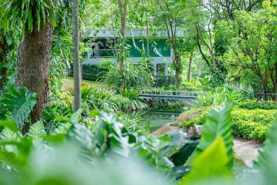 Baan Romyen Forest Khao Yai Накхонратчасима