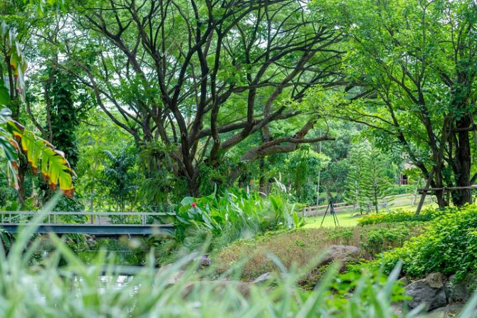 Baan Romyen Forest Khao Yai Накхонратчасима - изображение 6