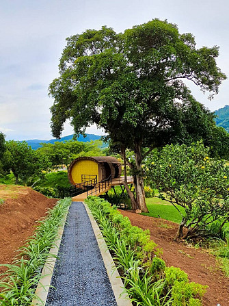 TreeHouse Monlada Khaoyai Nakhon Nayok - photo 6