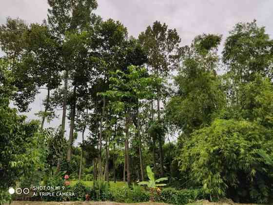 Дом с проживанием в семье Baanthonglang (บ้าน ทองหลาง โฮม สเตย์) Nakhon Nayok