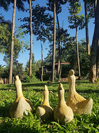 Дом с проживанием в семье Baanthonglang (บ้าน ทองหลาง โฮม สเตย์) Nakhon Nayok - изображение 6