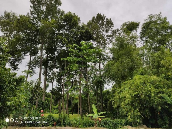 Дом с проживанием в семье Baanthonglang (บ้าน ทองหลาง โฮม สเตย์) Nakhon Nayok - изображение 5