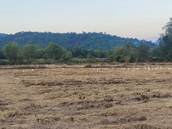 House panorama valley Nakhon Nayok - photo 6