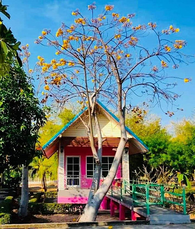 Small cottage on private land and quiet like home. Khon Kaen - photo 1