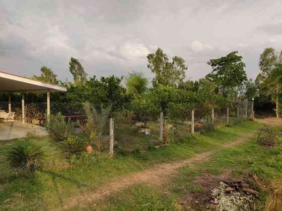 Бунгало Ban Chok Farm Bungalow Prakhon Chai