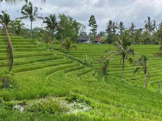 Wana Cabin - Tabanan Rice Field View Tabanan