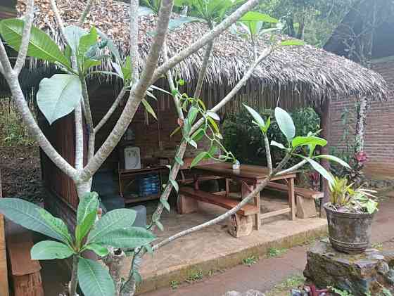 Buda 's Homestay Lemukih - Garden View Bungalow Singaraja