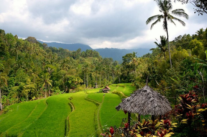 Buda 's Homestay Lemukih - Garden View Bungalow Singaraja - photo 1