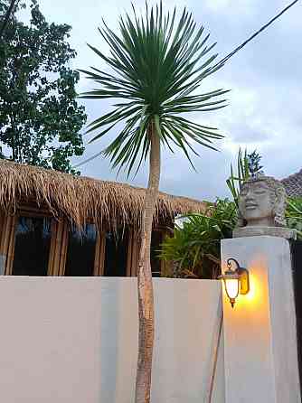 Casa Madonna, Pemuteran Beach Seririt