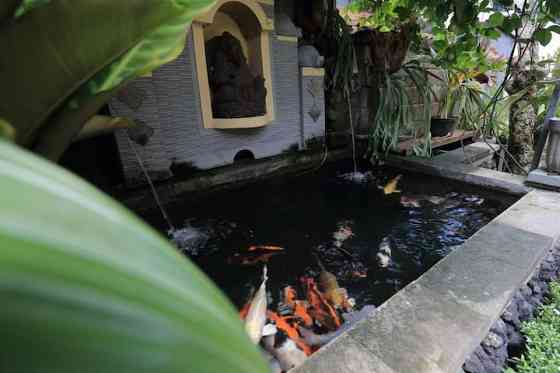 Degeg ubud homestay Ubud