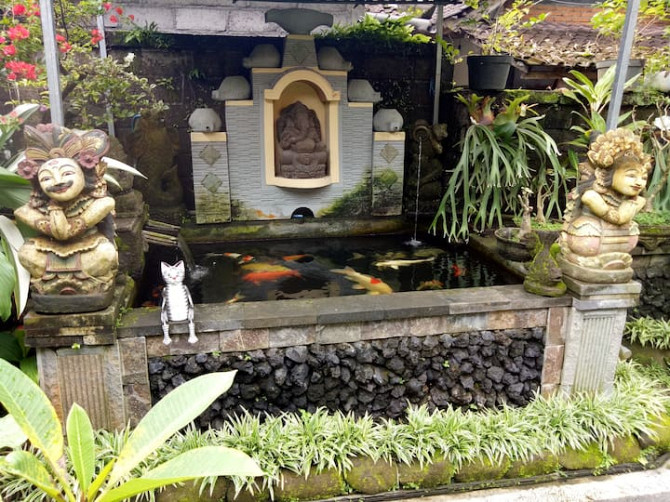 Degeg ubud homestay Ubud - изображение 5