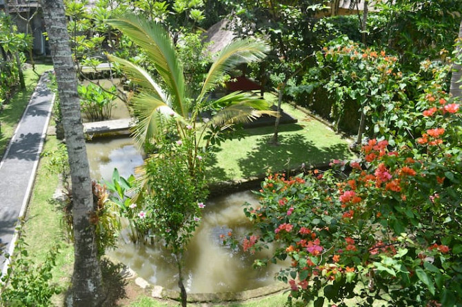 Восхитительное место, чтобы остановиться в Убуд Бали Ubud - изображение 6