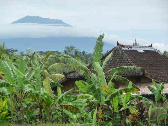 Вилла Joglo Villa at Rice Terrace (-а). Ubud