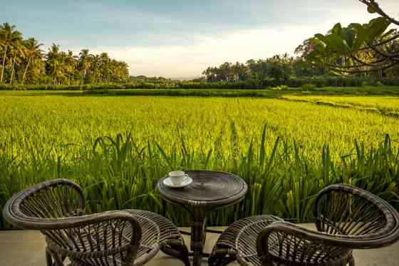 Отдохните в раю с видом на рисовое поле. Ubud