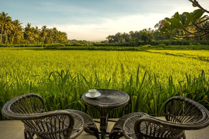 Отдохните в раю с видом на рисовое поле. Ubud - photo 5