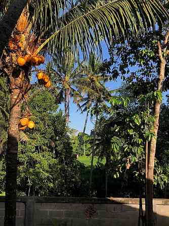 Комната художественной медитации Ubud