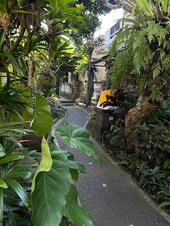 Samadini Ubud Bed & Breakfast Ubud - изображение 5