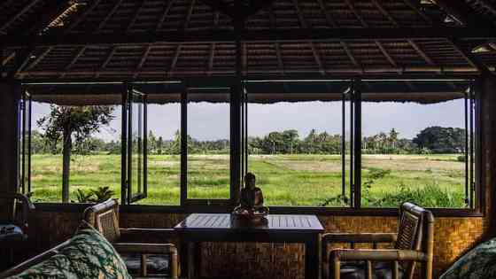 Райский сад с видом на рисовое поле на закате Ubud