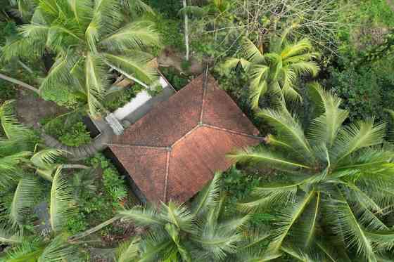 Люкс Jungle Paradise - Biodiverse Лесная роскошь Ubud