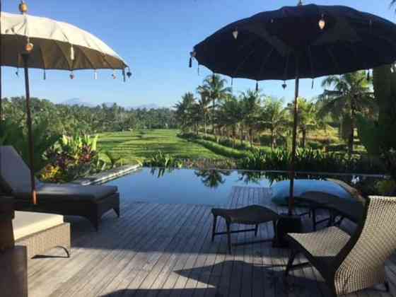 Lush and romantic hideaway  near UBUD Ubud