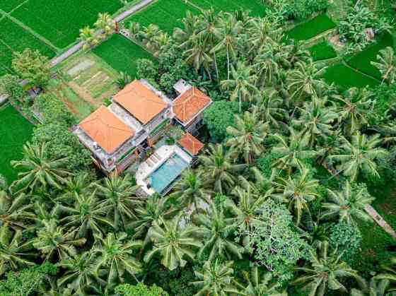 Дом с 3 спальнями в джунглях и собственным бассейном. Ubud