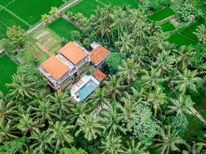 Дом с 3 спальнями в джунглях и собственным бассейном. Ubud - изображение 2