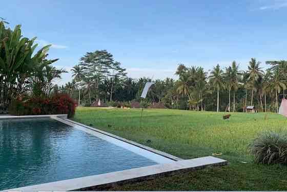 Tunjung Putih Villa с собственным бассейном Ubud