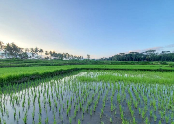 Villa Shanti Samesta Ubud - изображение 2