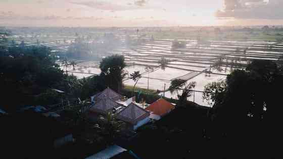 Ламддиан-Убуд. Ubud